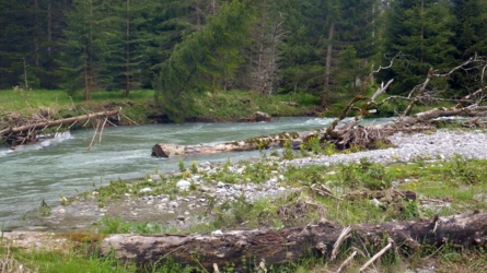 loisach2019-29