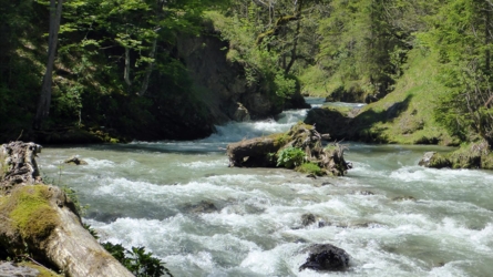 loisach2019-46