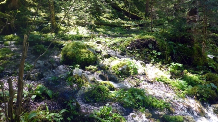 loisach2019-49