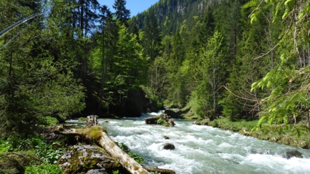 loisach2019-44