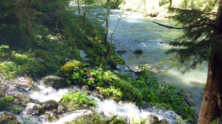 loisach2019-50