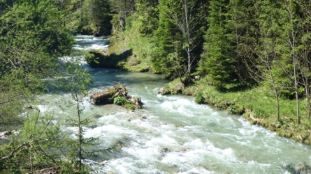 loisach2019-51