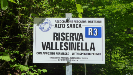 trentino_2019-3