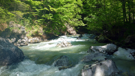trentino_2019-10