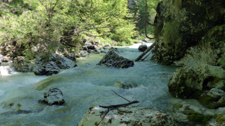 trentino_2019-6