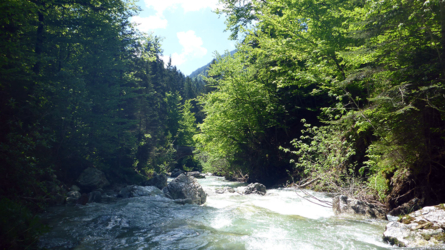 trentino_2019-11