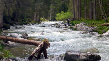trentino_2019-23