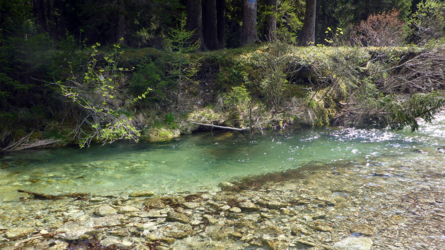 trentino_2019-21