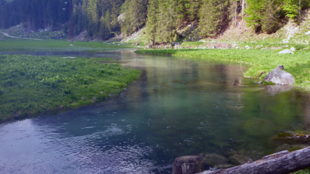 trentino_2019-37