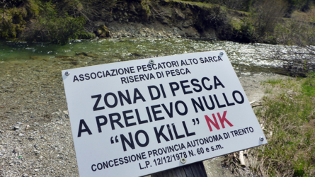 trentino_2019-25