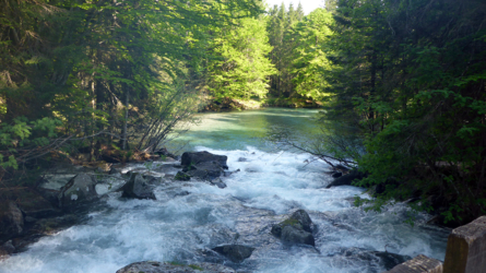 trentino_2019-32