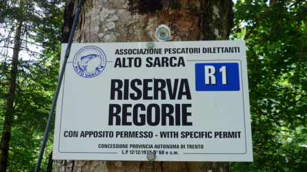 trentino_2019-53