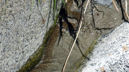 trentino_2019-84