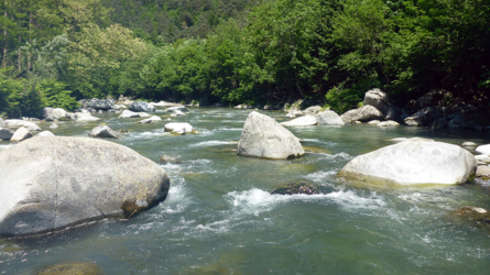 trentino_2019-81