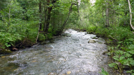 Zauberhafter Schönenbach