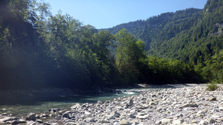 Bregenzerache beim Clubhaus des Fischereivereines