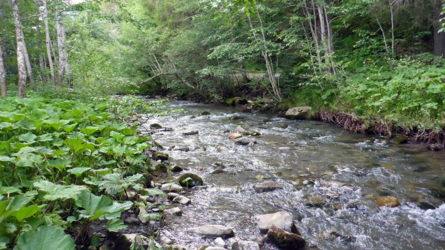 Schönenbach, noch etwas angestaubt, aber fischbar