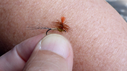 Kleine Parachute, Hakengrösse #16