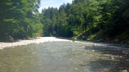 Die Subersach, das Wasser ist noch nicht klar...