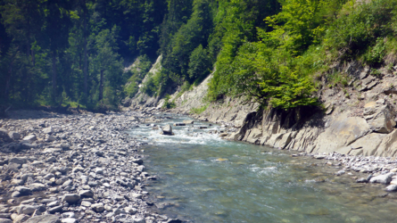 Wilde Subersach