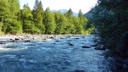 Nach der Subersach noch einen kurzen Abstecher an die Bregenzerache. Wasserstand: wieder befischbar und innert 30 Min. 3 schöne Bachforellen gefangen (Kamera leider im Auto vergessen und mit Handy im Wasser keine Fotos gemacht)