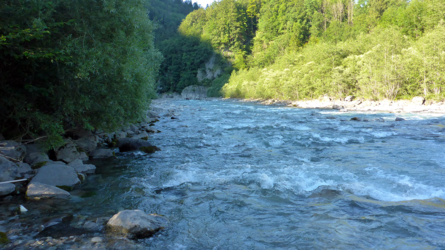 Die wilde Bregenzerache