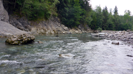 Perfektes Trout Habitat