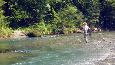 Fishing a little pool