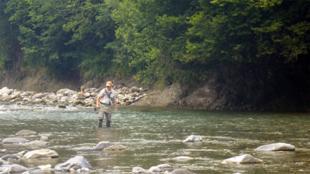 Wading