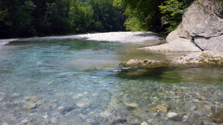 Forellen Unterstand