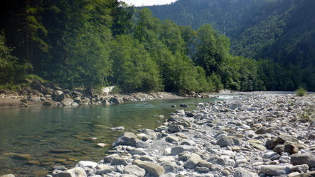Nach der angestaubten Subersach: Gewässerwechsel und siehe da, die Bregenzerache ist wieder klar und befischbar