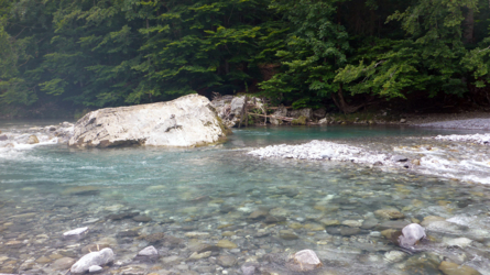 Bregenzerache oberhalb des Vereinsheimes