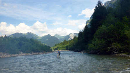Bregenzerache Abschnitt 7: Forellen im schnellen Wasser mit der golden Stonefly gefangen