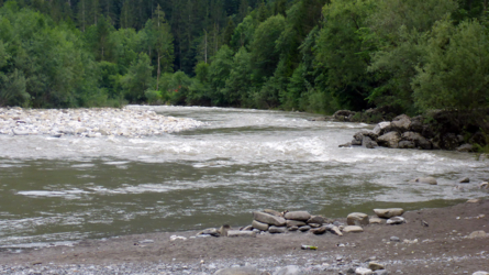 Die Bregenzerache hat sich innert Minuten zu einem reissenden Fluss verwandelt.