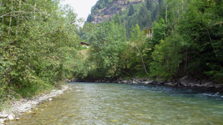 moell016