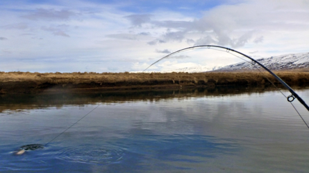 huso2013_042