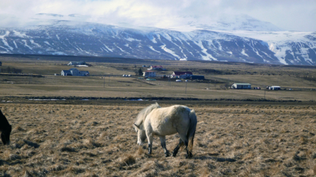 huso2013_035