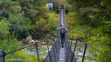 markus_hängbrücke_nzl_2018