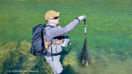 markus_mataura_trout_nzl_2018