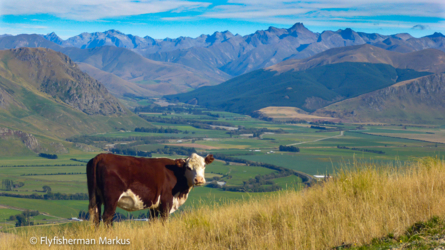 nevis_001_nzl2018