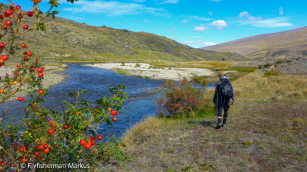 nevis_006_nzl2018