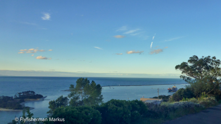 nelson_003_nzl2018