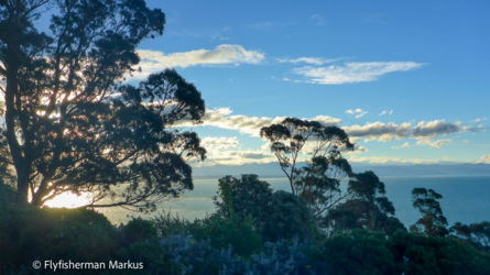 nelson_004_nzl2018