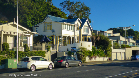 nelson_001_nzl2018