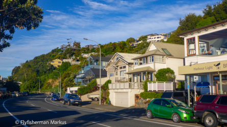 nelson_002_nzl2018