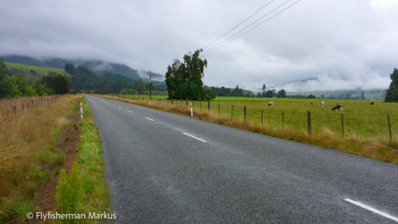 motupiko_009_nzl2018