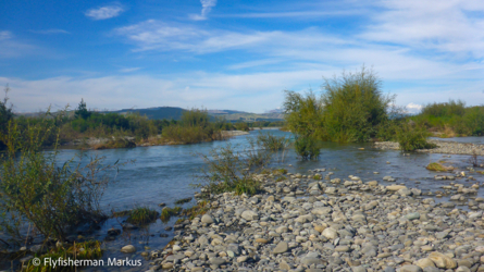 bartlett_creek_001_nzl2018