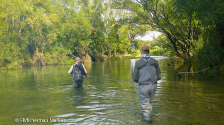 bartlett_creek_002_nzl2018