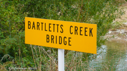 bartlett_creek_011_nzl2018