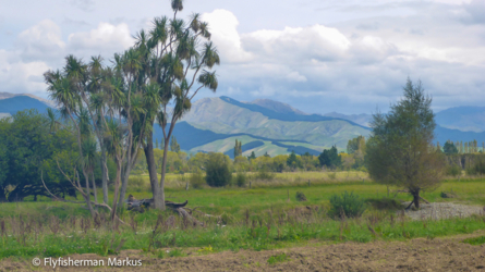 bartlett_creek_015_nzl2018